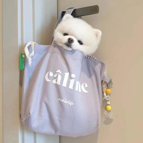  一组打工人专属手机壁纸