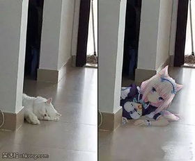  搞笑图片学生恶搞之五大美女,我都看醉了