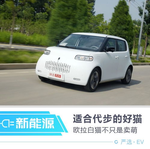 白猫图片头像长城汽车
