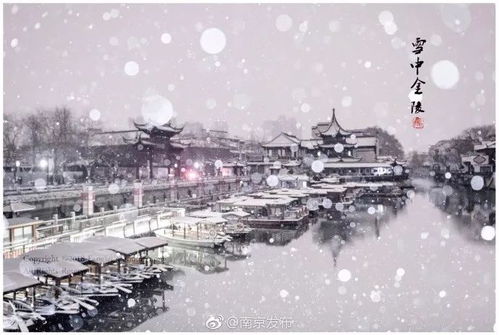  雪中金陵,醉美不过紫金山