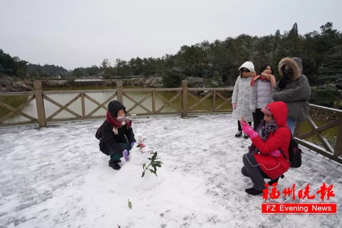  此刻,鼓岭成了天然的雪景公园