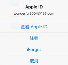  苹果手机怎么修改id账户