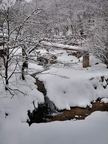  三上黄山,只为那绝美的雪景
