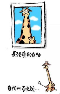  佛山开元众泰