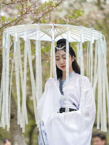  武大樱花树下美女穿汉服赏樱拍照