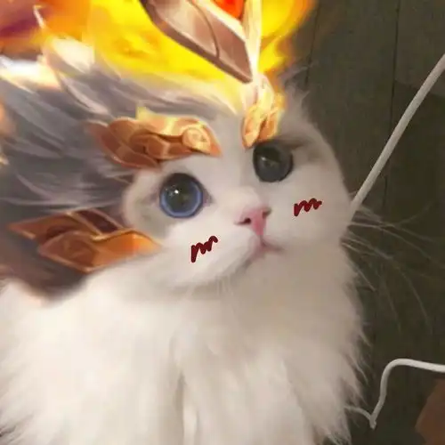 猫猫接头王者头像4 猫猫接头王者头像4