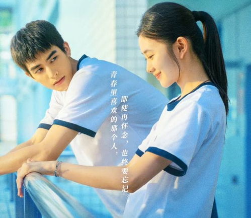  含存量严重超标四海宣传也不提她,她究竟做错了什么