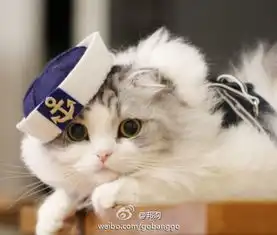 水手服的诱惑美呆了 水手服的诱惑美呆了