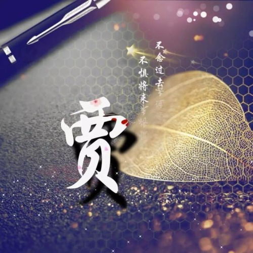  您该换换头像了,8款50多张微信头像姓名头像手机锁屏壁纸