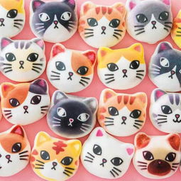  从日本猫经济说起,宠物零售商发现新的商机