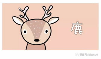  选3只动物,从内而外揭穿最真实的你
