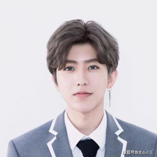 宋威龙微信头像蔡徐坤
