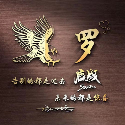 关于超越的头像签名
