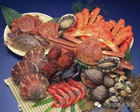 玄门头像图片海鲜