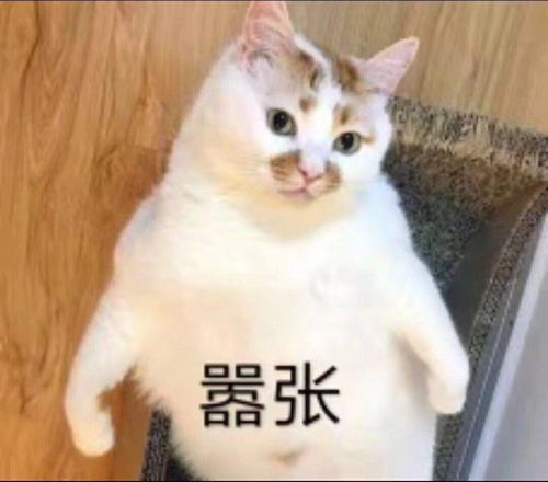 一键封神的头像熔炉