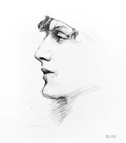  央美速写小王子带你走进素描头像的秘密