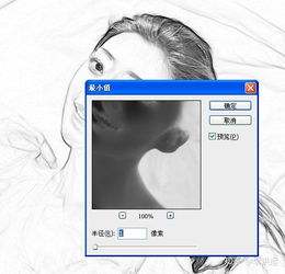  数码画意摄影之一把照片变成素描图