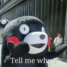  专升本暑假跟班复习vs回家复习,哪个好