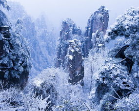 雪景头像高清张家界