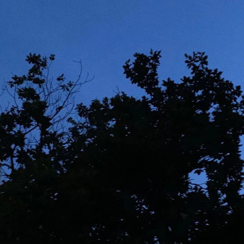 微信头像背景是山好吗晚