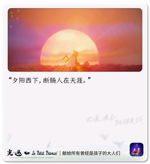  我的王子哥哥光遇