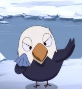  白头鹰