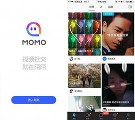  掀起超女后最大的平民造星运动,陌陌的铠甲和软肋在哪
