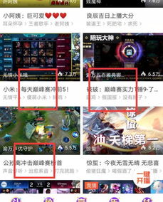  王者荣耀虎牙主播集体等待巅峰赛,斗鱼触手也不甘示弱