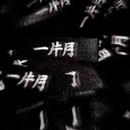  背景图或许换个时间有些人真的很合适