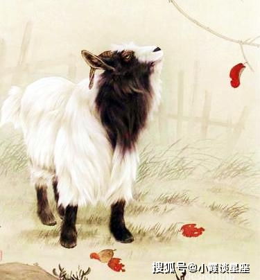  在家持家旺夫,在外给老公长脸,一百分好媳妇的生肖女
