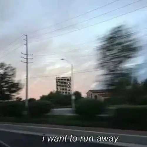  安奈ins风治愈系背景图等到苦风景静物头像我要个性网