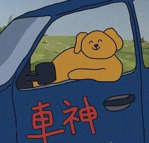 手机头像图片可爱微信搞