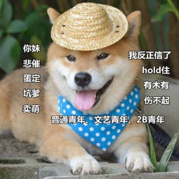  可爱逗比的汪星人表情包头像都微信头像我要个性网