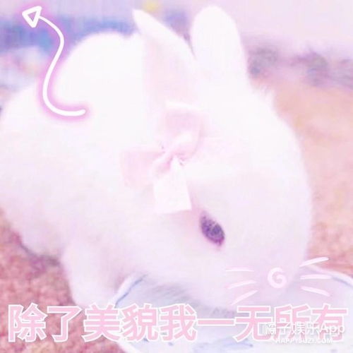  素媛霸王别姬...哪部电影曾经狠虐过你