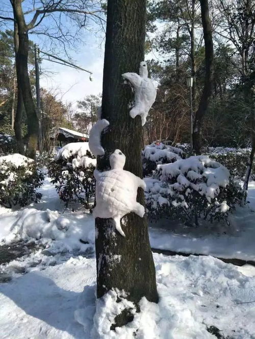  获奖公布保利中央公园醉美雪景摄影大赛完美收官