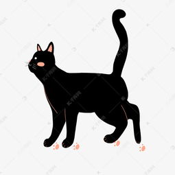  手绘小清新黑色猫咪下载素材图片免费下载高清psd千库网图片编号11141007