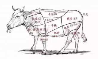 有没有一本生存指南,教动物们逃离吃货的世界