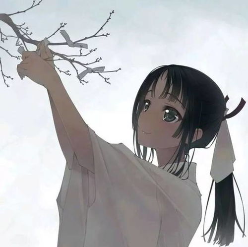  穿越那一夜,嬴抱月从棺材里坐起,开启战国年代女子的传奇婉容贺兰网易订阅