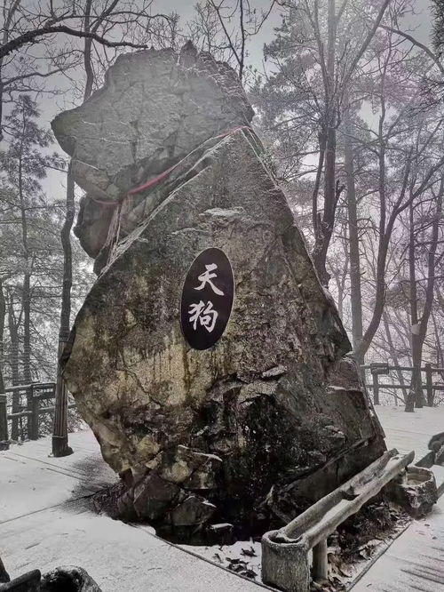 冬季福利西峡老界岭景区门票全免一起赏雪吧