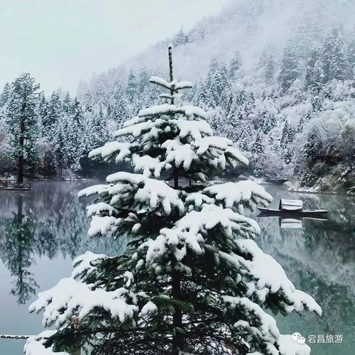  初雪到货甘肃多地解锁雪景模式凤凰网甘肃凤凰网