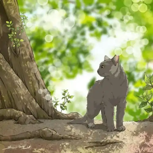  马克笔手绘萌宠猫咪图,可爱爆棚