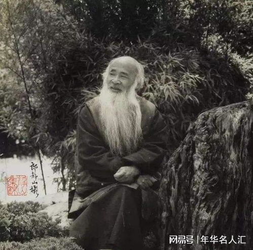 中华小当家图片头像陈建