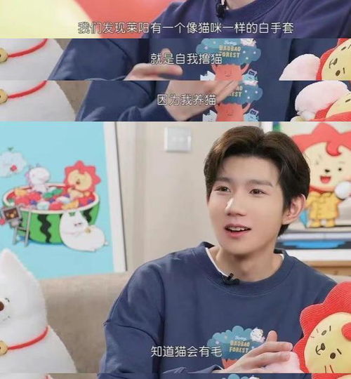  王源谈莱阳的创作灵感,与王俊凯的个性吻合,玩偶生日还是921