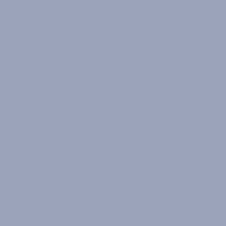  pantone2107up