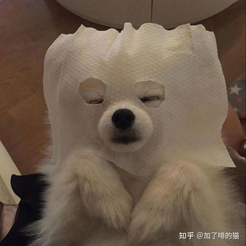 适合大叔的微信头像这匹