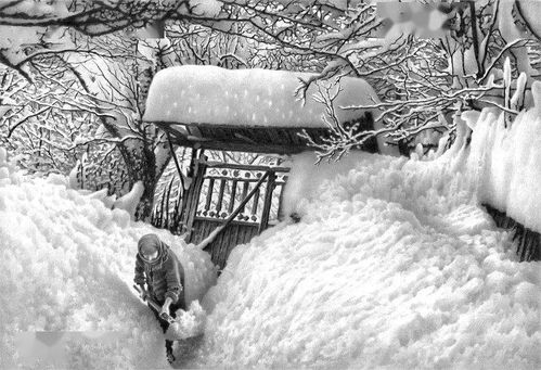  74岁老人用铅笔画的雪景,真实到俄罗斯总统都被骗了...