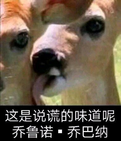乔鲁诺头像高清替身