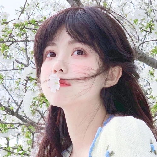  招桃花小众精选温柔女生头像363