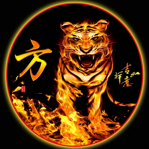 霸气金龙头像2000年