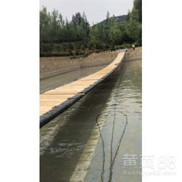  北京摇摆桥抖音摆摆桥网红桥抖音摇摆桥青和文化厂家定制-黄页88网